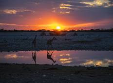 Family Botswana and Zimbabwe Safari Adventure Tour