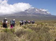 Kilimanjaro beklimming Lemosho route 8 dagen-rondreis