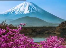 Tokio und Mount Fuji (4 Tage) Rundreise