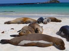 Galápagos — East, Central, & West Islands aboard the Eden Tour