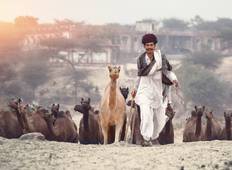 Pushkar Kamelmesse Festival Rundreise