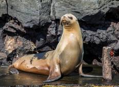 Galápagos — West & Central Islands aboard the Eden Tour