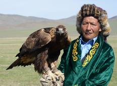 Grote Gobi en Steenarend Festival-rondreis