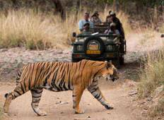 Private Golden Triangle Tour with Ranthambore from Delhi Tour
