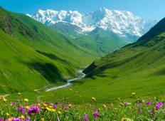 Discover Georgia Tour