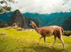 Machu Picchu & Titicacasee Abenteuerreise für Singles (40er, 50er und 60er Jahre) Rundreise