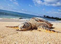 Southern Coast Beach Tour - Free Upgrade to Private Tour Available Tour