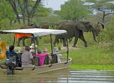 3 dagen 2 nachten Nyerere Nationaal Park Lodge Safari-rondreis