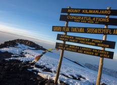 Kilimanjaro Besteigung Northern Circuit Route - Trek (10 Tage) Rundreise