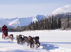 Winterdroom Yukon | Actief winteravontuur-rondreis