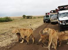 Kenia Safari Rundreise Rundreise