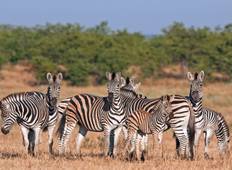 4-Daagse Kruger Nationaal Park Big 5 Safari & Panoramaroute Tocht-rondreis