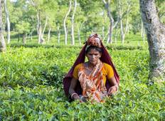 Treasures of Bangladesh Tour