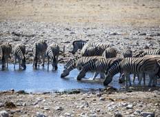 Etosha Nationalpark und Swakopmund Camping - 4 Tage Rundreise