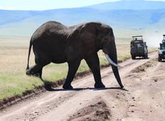 5-Days 4 Nights Lodge   Safari Tarangire, Serengeti, Ngorongoro Crater & Lake Manyara Tour