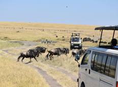 10 Days   Kenya Lodge Safari - Wildebeest Migration Safari Tour