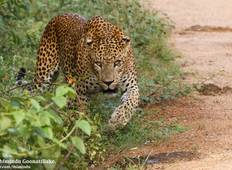 Discover Sri Lanka Tour