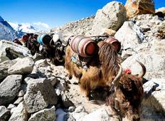 Everest Base Camp Trek - 15 Tage Rundreise