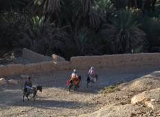 Marokko Hinterland: Berge, Steppen und Wüsten Rundreise