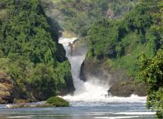 3 Daagse Murchison Falls Big 5 Safari-rondreis