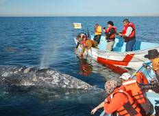 Wale - Die großen Drei Rundreise
