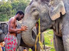 Northern Thailand Smile Tour Tour