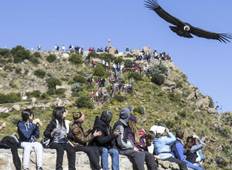 4 days - Arequipa & Colca Canyon Tour