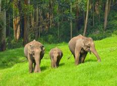 Südindien Wildlife Rundreise Rundreise