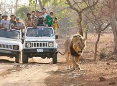 Sasan Gir met Somnath Dwarka Tour-rondreis