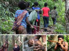 Wesentliche Taman Negara mit dem Orang Asli (Superior) Rundreise