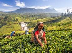 Sri Lanka Kurzreise: Kandy und Nuwara Eliya - 2 Tage Rundreise