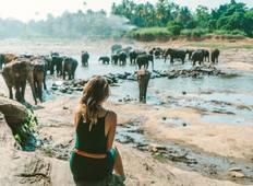 3-Day Glimpse of Sri Lanka Private Tour Tour