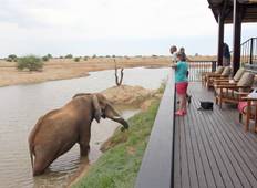 Afrika Sommer-Safari-Paket Rundreise