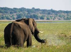 Das Beste von Botswana: Okavango Delta nach Victoria Falls Rundreise Rundreise