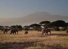 Explore Tanzania Big 5 - 10 Days Safari Tour