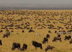 Tansania Private Safari Budgetreise: Arusha National Park, Manyara See, Serengeti, Tarangire & Ngorongoro Krater - (8 Tage) Rundreise