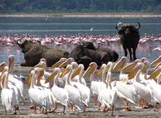 Majestätisches Kenia: Safari-Rundreise - 7 Tage Rundreise