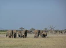 Amboseli Luxury Game Safari – 3 Days Tour