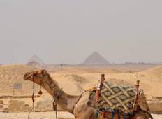 Paket zu den Pyramiden, Luxor & Assuan mit dem Flugzeug (8 Tage 7 Nächte) Rundreise