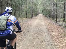 Brisbane Valley + Scenic Rim trails tour Tour