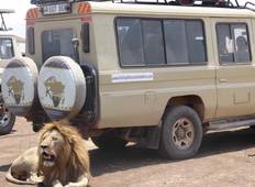 4-daagse Lake Manyara / Serengeti Nationaal Park en Ngorongoro krater-rondreis