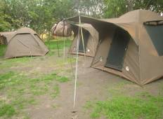 Tarangire, Serengeti & Ngorongoro Safari - 4 Tage Rundreise