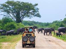 Oeganda avontuurlijke safari: Gorilla, chimpansee, wildlife & avontuurlijke rondreis-rondreis