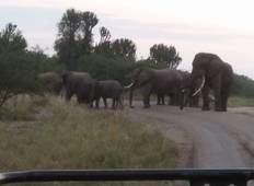 14 Day Uganda Classic Wildlife Safari Tour