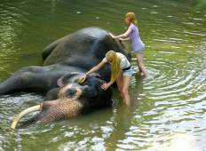 Sri Lankan Safari Excursion - 4 Days Tour
