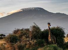 Machame-route - 7 dagen-rondreis