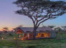 6 Days Tanzania Private Camping Safari Tour