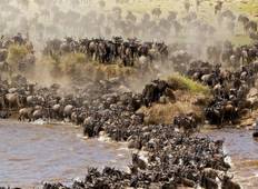 14 Days Across the Kenya Wilderness Safari Tour