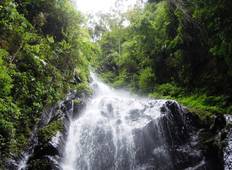 3 Days Gorilla Safari Tour