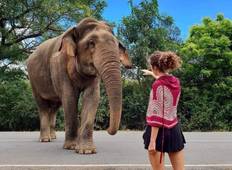Langs de beste plaatsen van Sri Lanka-rondreis